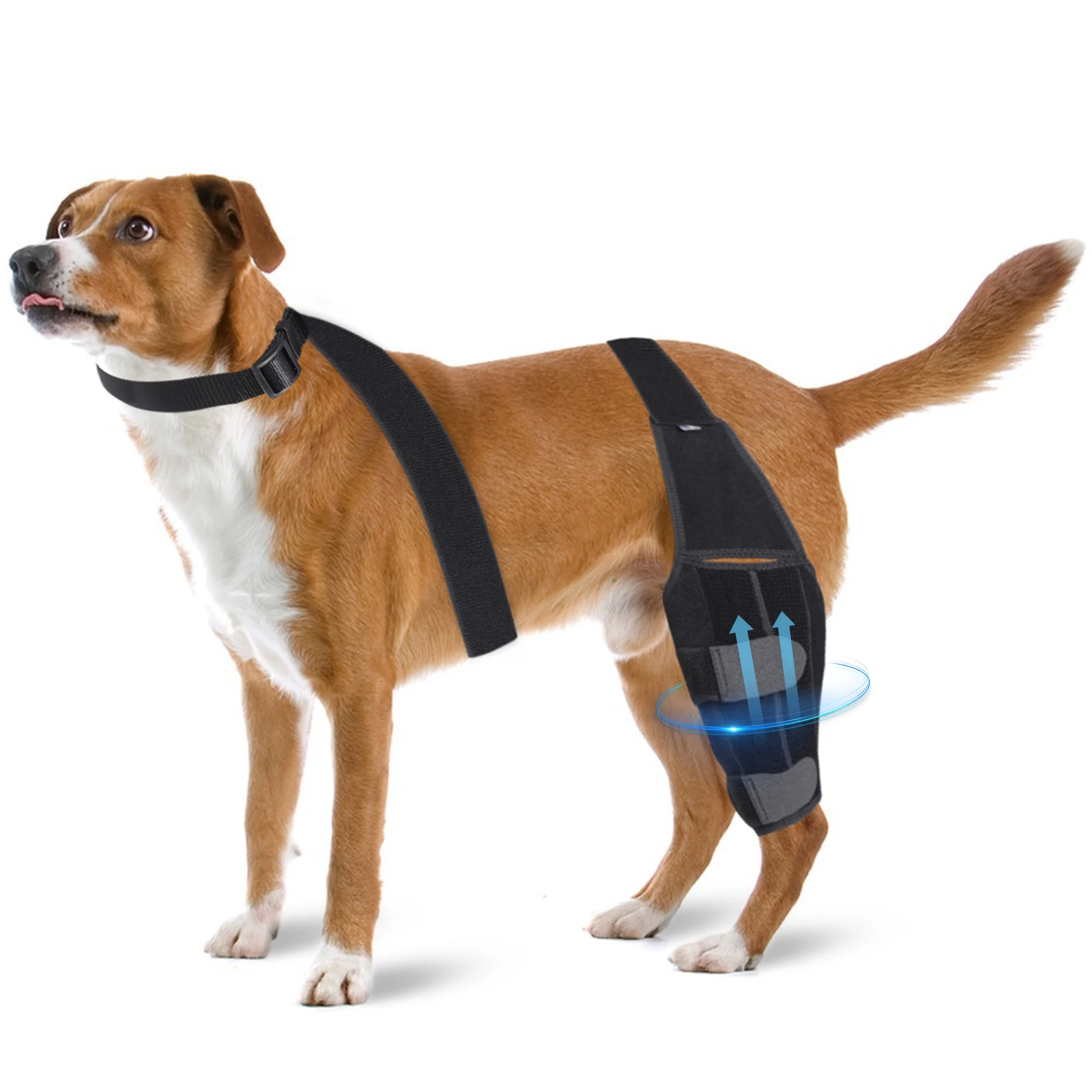 Pet Knee Pads For Joint Injury Recovery Legs Protector Dog Thigh Brace Wrap Adjustable Support Belt Post-operative Fixation