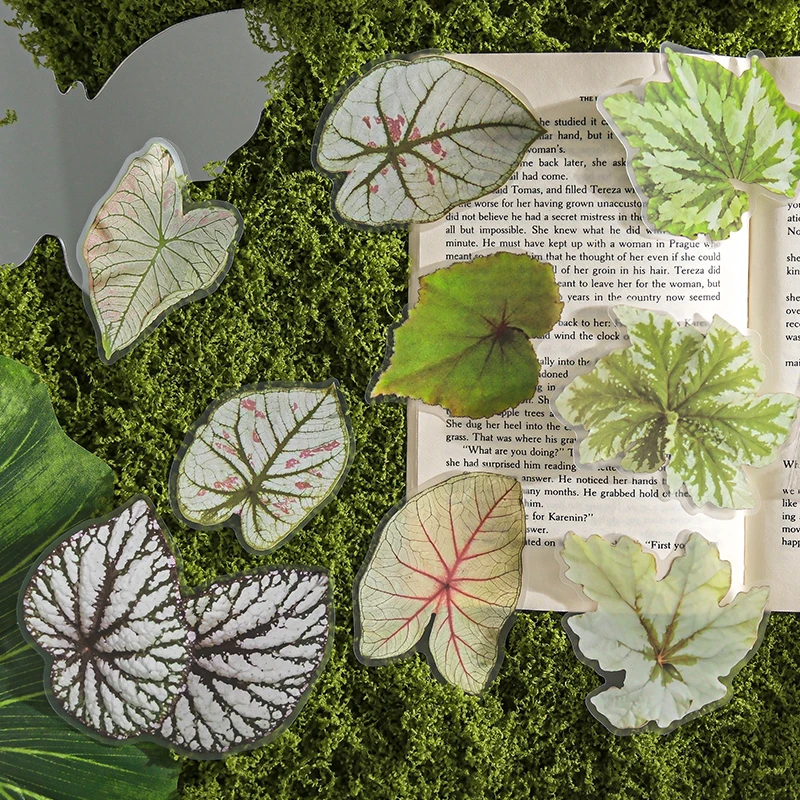 20 個植物花葉 PET ステッカーパックハンドアカウントコラージュジャンクジャーナルプランナースクラップブッキング装飾文具ステッカー