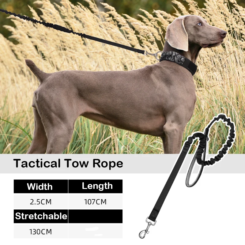 

Tactical Nylon Anti-Pull Dog Leash Retractable Elastic Pet Lead Heavy Duty Outdoor Walking Rope for Medium Large Dogs Wholesale