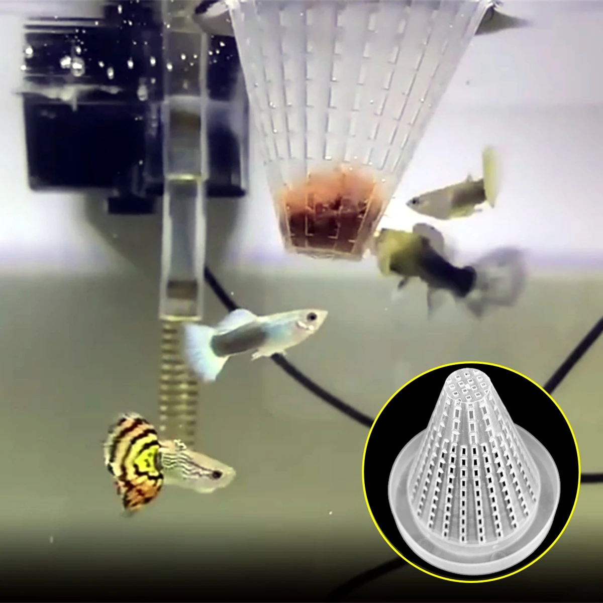 2-5-10-шт-пластиковая-автоматическая-кормушка-с-присоской-для-аквариума-кормление-красных-червей-конус-для-аквариума-живой-еда-коническая-корзина-бунпер