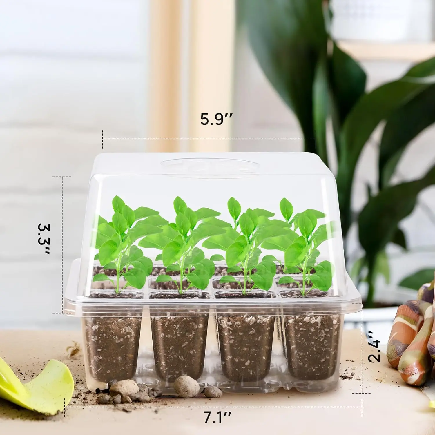 10팩 씨앗 발아 트레이 키트 120셀 투명 플라스틱 온실 정원 조절 가능한 습도 통풍 화분 플랜터