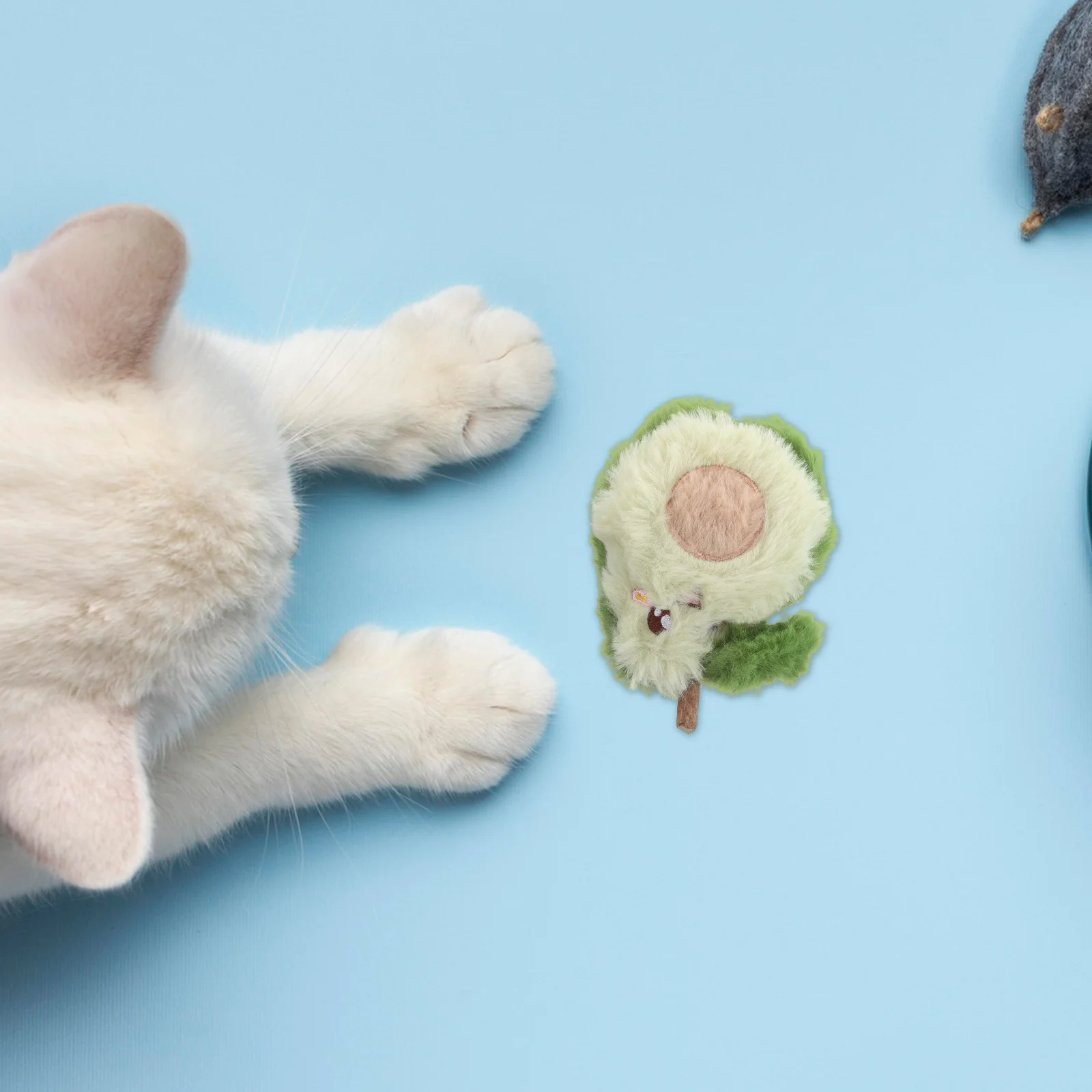 

Cat Chewing Kitten Accessories Sticks Polygonum for Indoor Cats Cute Dog