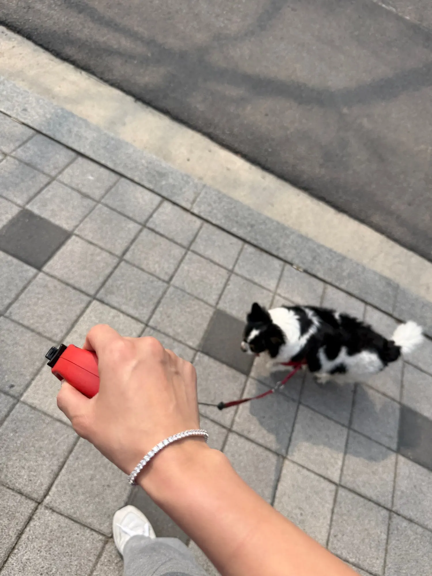 구매후기