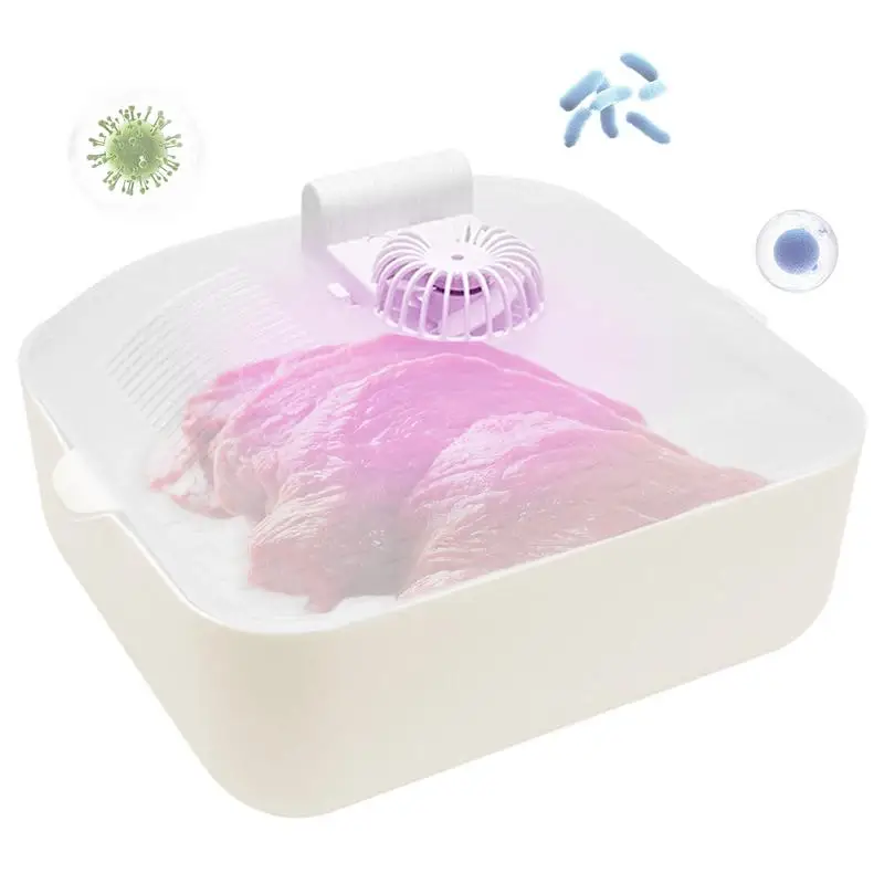 

Meat Defrosting Bowl ABS Natural Thawing Process For Food With Type-C Charging Defrosting Trays Quick Food Defrosting Bowl