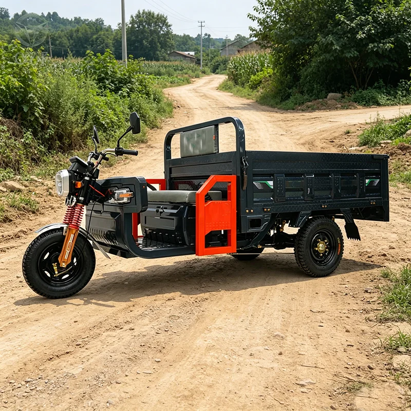 High Payload Electric Three Wheeler Freight Vehicle 800kg Load Electric Cargo Tricycle