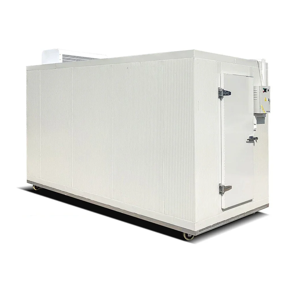 Movable Refrigerators for Foods Ice Cold Room Ice Block Cold Room