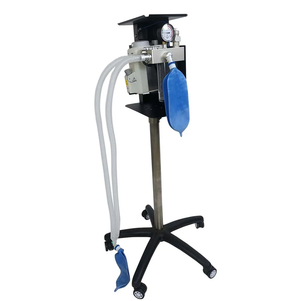 Mindray Simple Ane Machine Workstation Second-Hand Classic Style with Volatile Tank for Animal Diagnosis