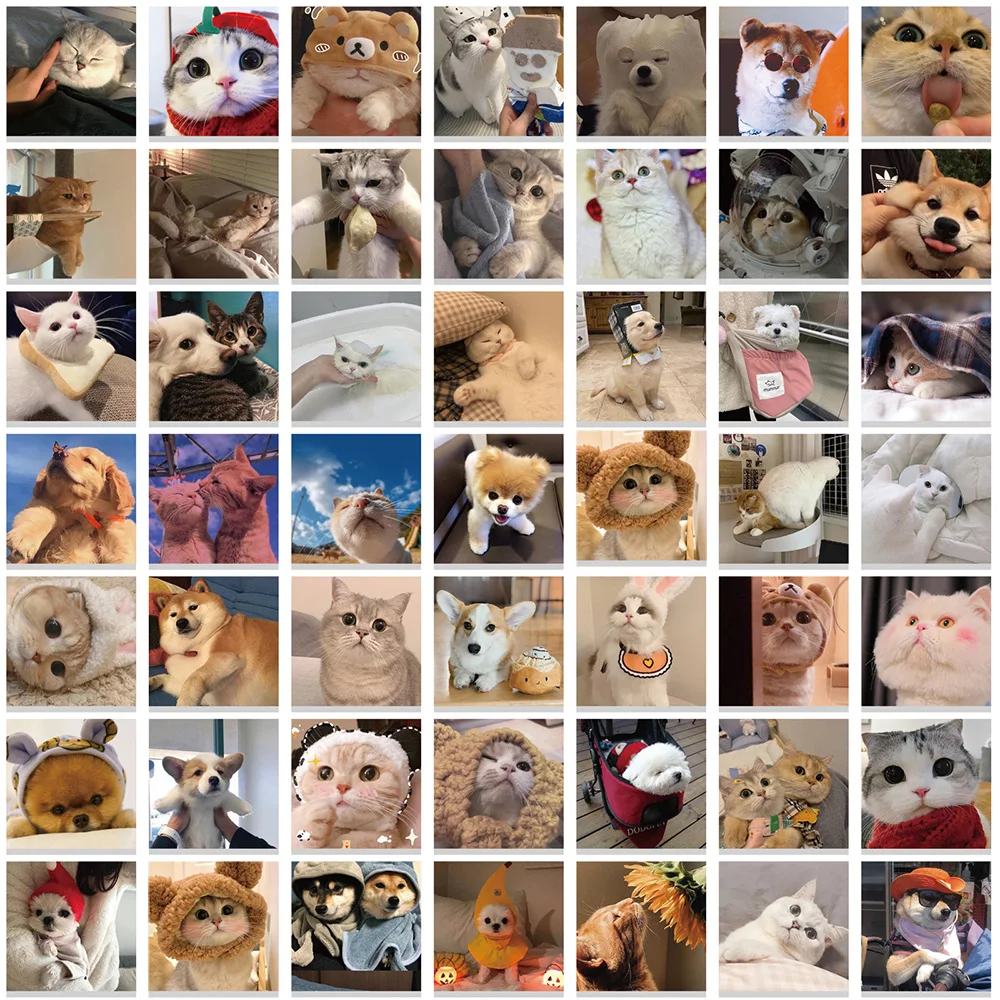 10/30/50/100pcs Kawaii Animale Gatto Cane Meme Adesivi Cute Pet Gattino Cucciolo Adesivo Del Fumetto di Skateboard Diario Del Telefono Graffiti Decalcomanie