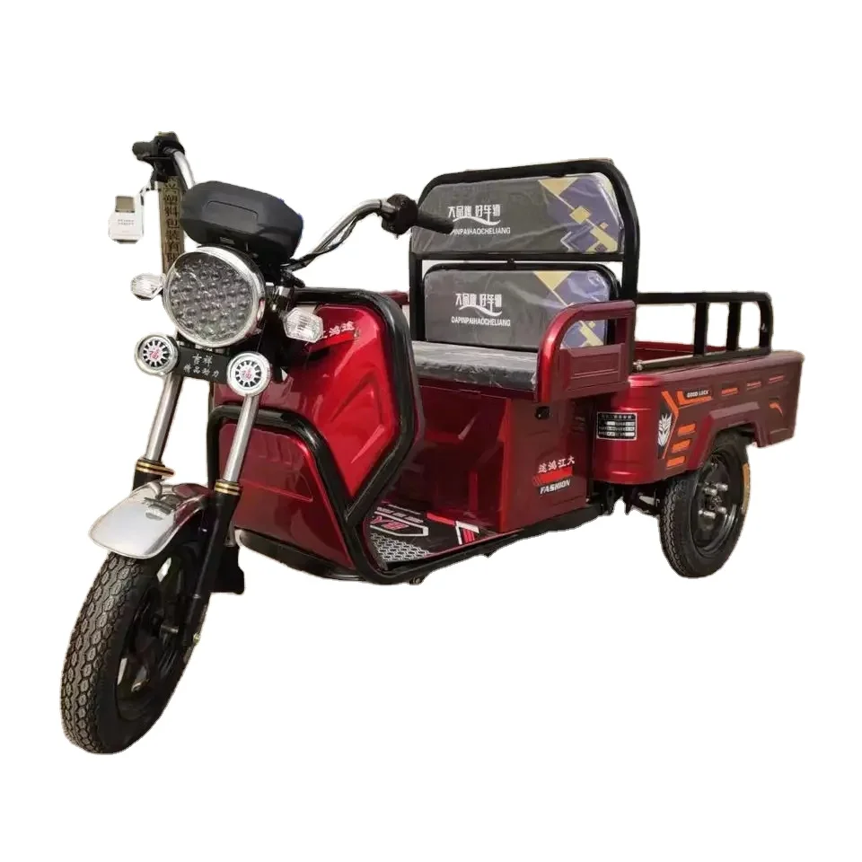 

Export Durable Cheap Adult Tricycle Bike Cargo for Transport Wanhoo Cargo Tricycle