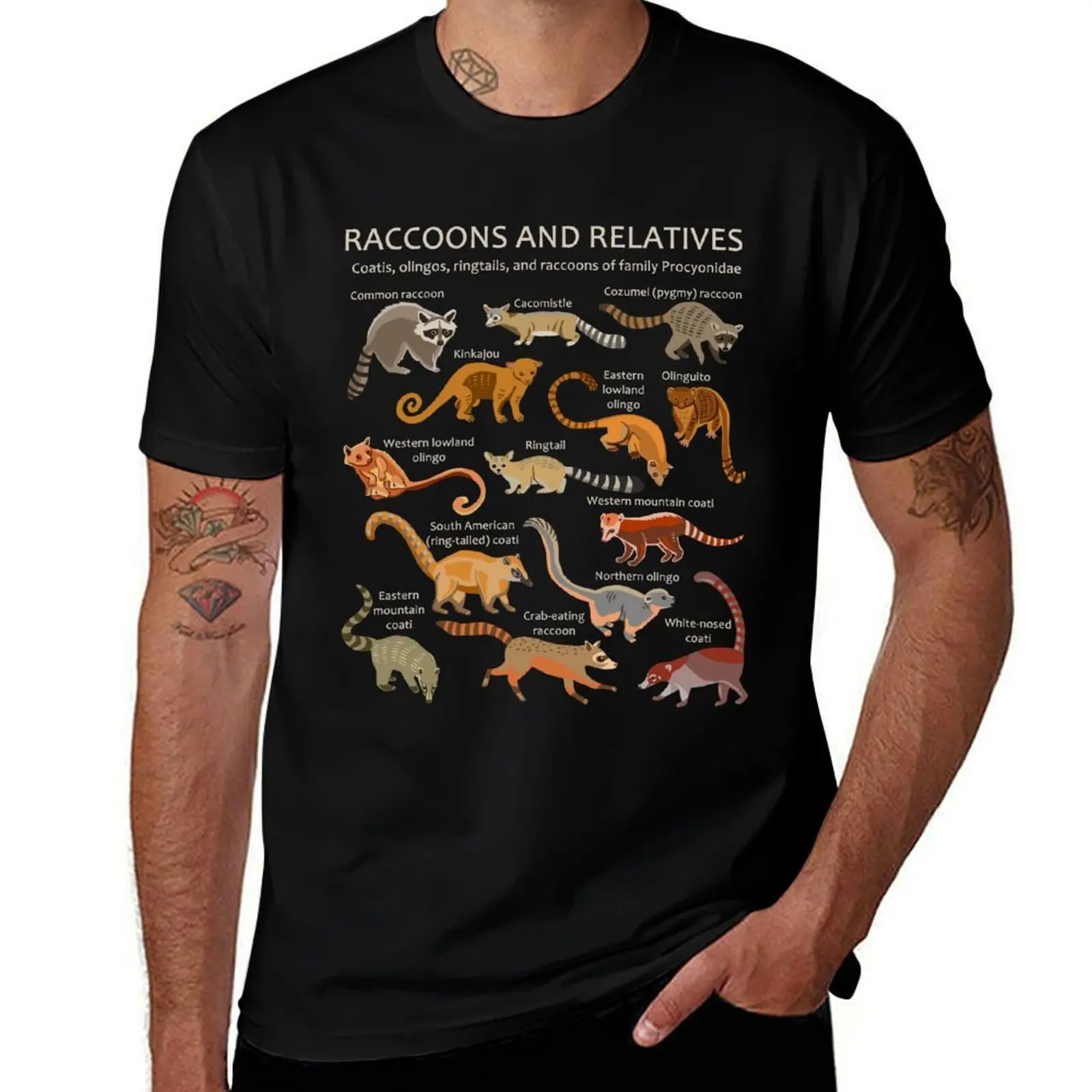 Raccoons and Relatives: Species of Procyonidae (Coatis, Olingos, etc) T-Shirt anime oversized t shirt shirts men graphic