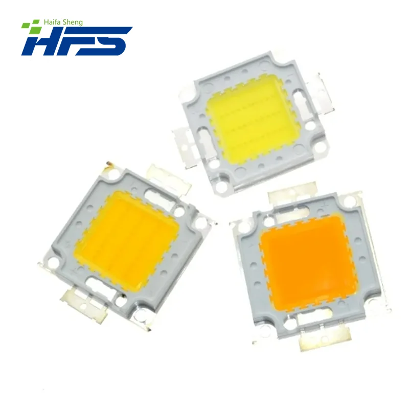 20W 30W 50W 100W LED integrato ad alta potenza lampadina LED bianco/bianco caldo EPISTAR COB chip lampade a led