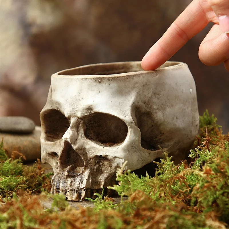 Gothic Vintage Skull Planter,Resin Rustic Decorative Indoor/Outdoor Use for Succulents, Cacti, Home & Garden Decor, Indoor Plant