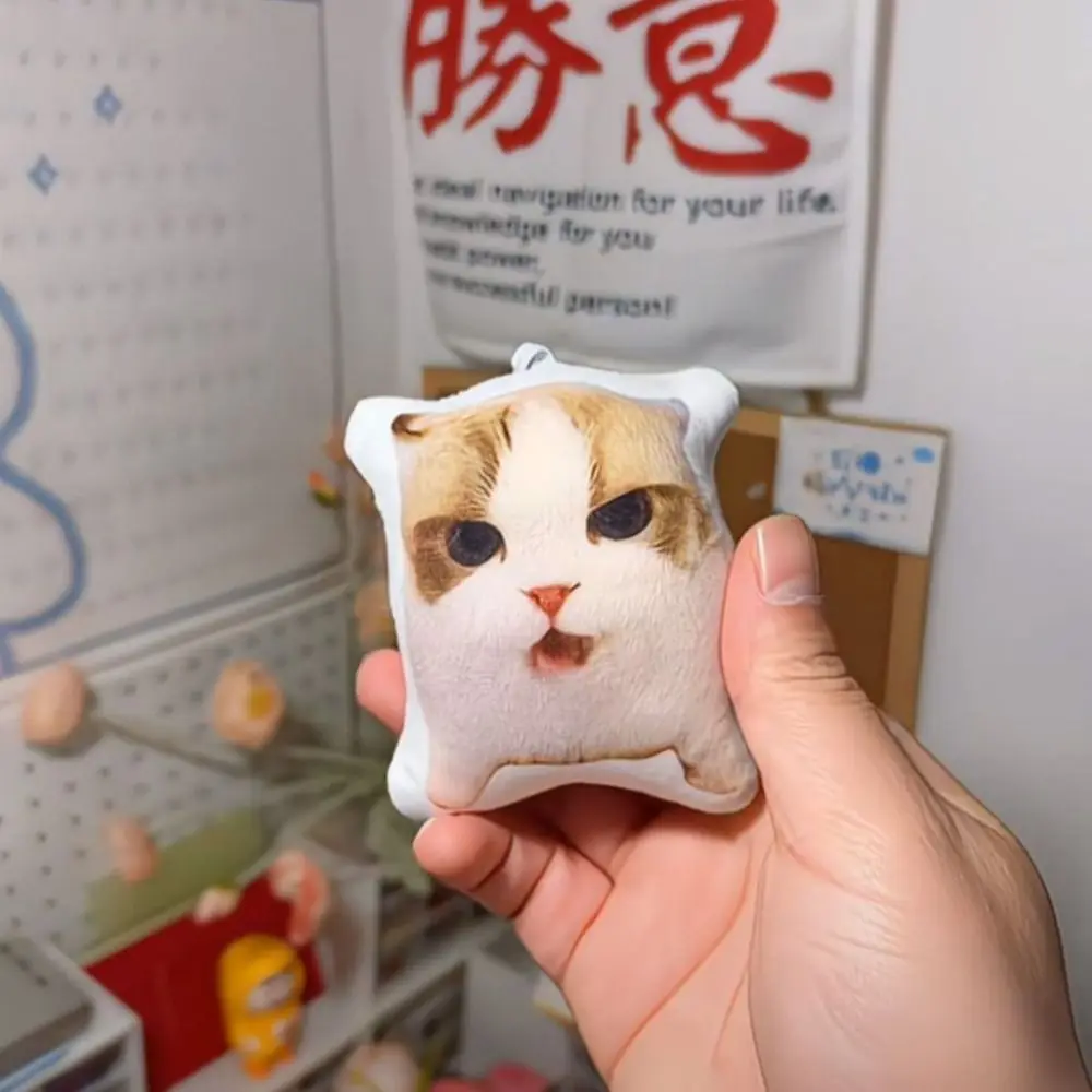Creative Oiiaioooooiai Cat Voice Keychain Funny German Reverses Kitten Doll with Sound Decompression Children's Toy