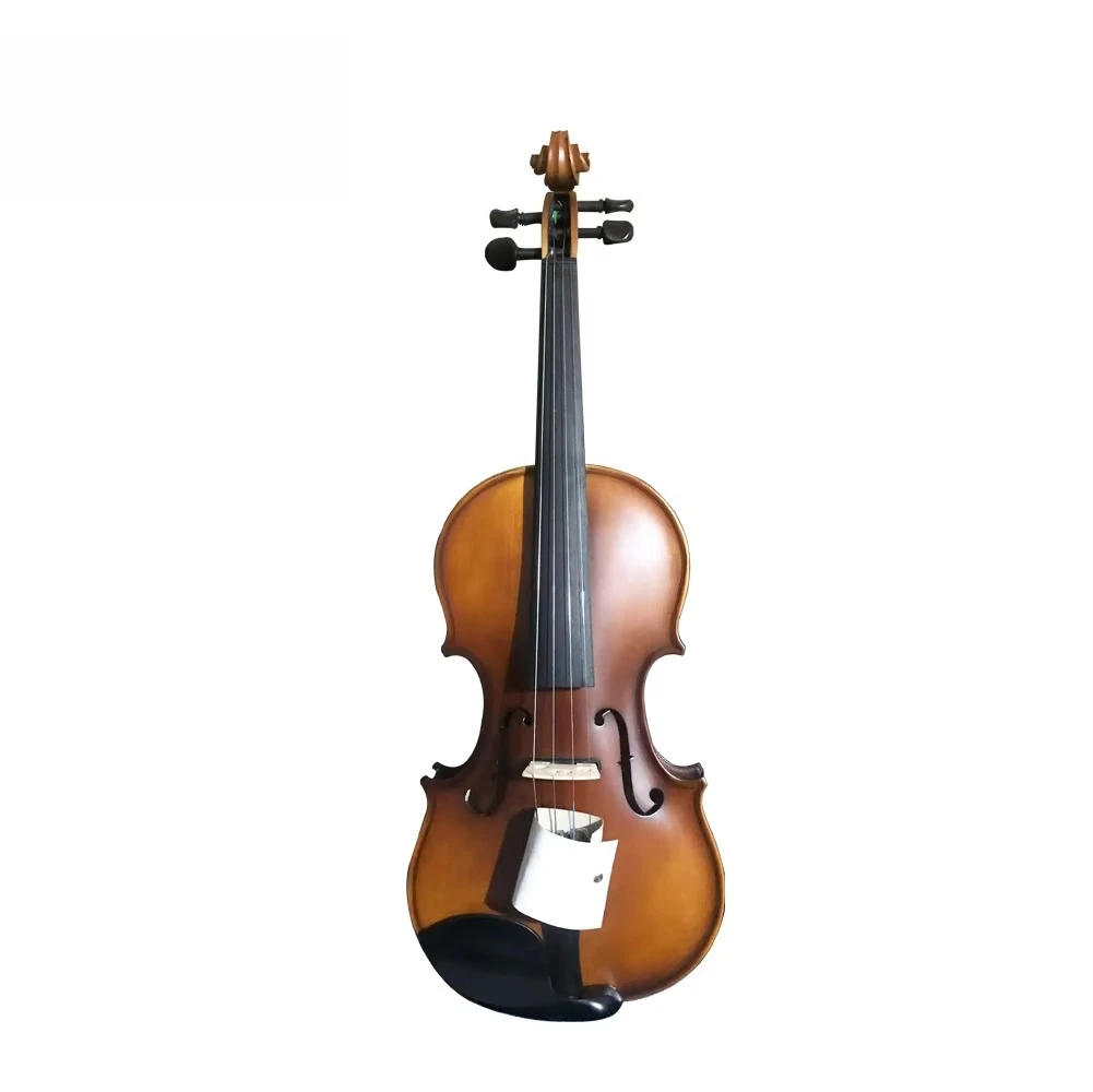 Chinese 4 Strings Solid Support Acoustic Professional Electric Violin 4/4 With Foam Shaped Case