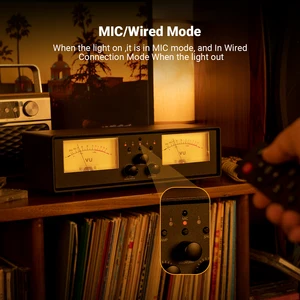 محول مكبر الصوت NEOHIPO ET30 ، مقياس VU تناظري مزدوج الإخراج 2 في 2 ، محول صوت شاشة لوحة DB أفضل 7 مبيعا للصوت التناظري - رقم 1