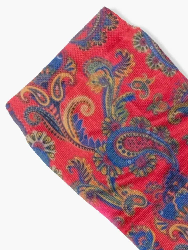 Fresh Paisley Socks New year's cycling valentine gift ideas japanese fashion Socks For Women Men's