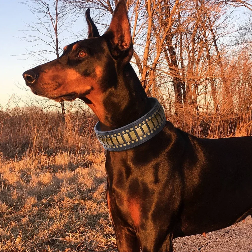 Collare per cani di grandi dimensioni anti-morso in metallo di vacchetta Pitbull Golden Retriever Collari Doberman Accessori per cani Correa Perro Дл Ся®бак