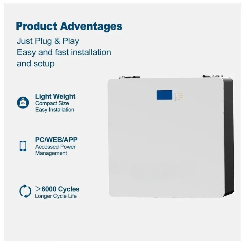 12V 24V 48V Lithium Ion Lifepo4 Battery Tester 200AH with BMS Protection CAN Communication Port for Solar System Certified