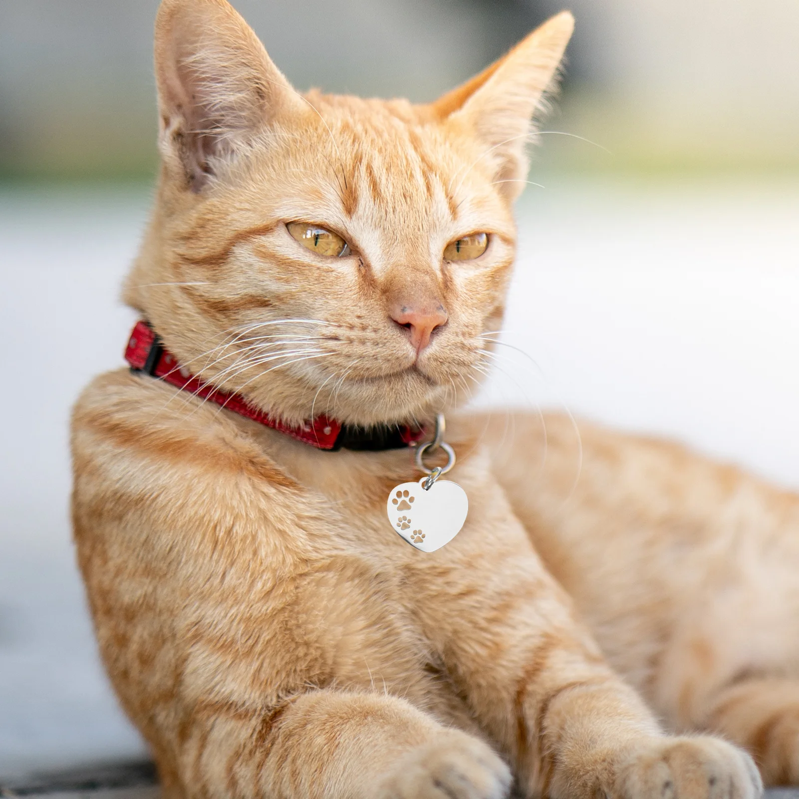 

10Pcs Heart Shape Dog Tag Stainless Steel Blank Pet Name Tags for Engraving Puppy Id Tag Collar Bag Keychain Charm