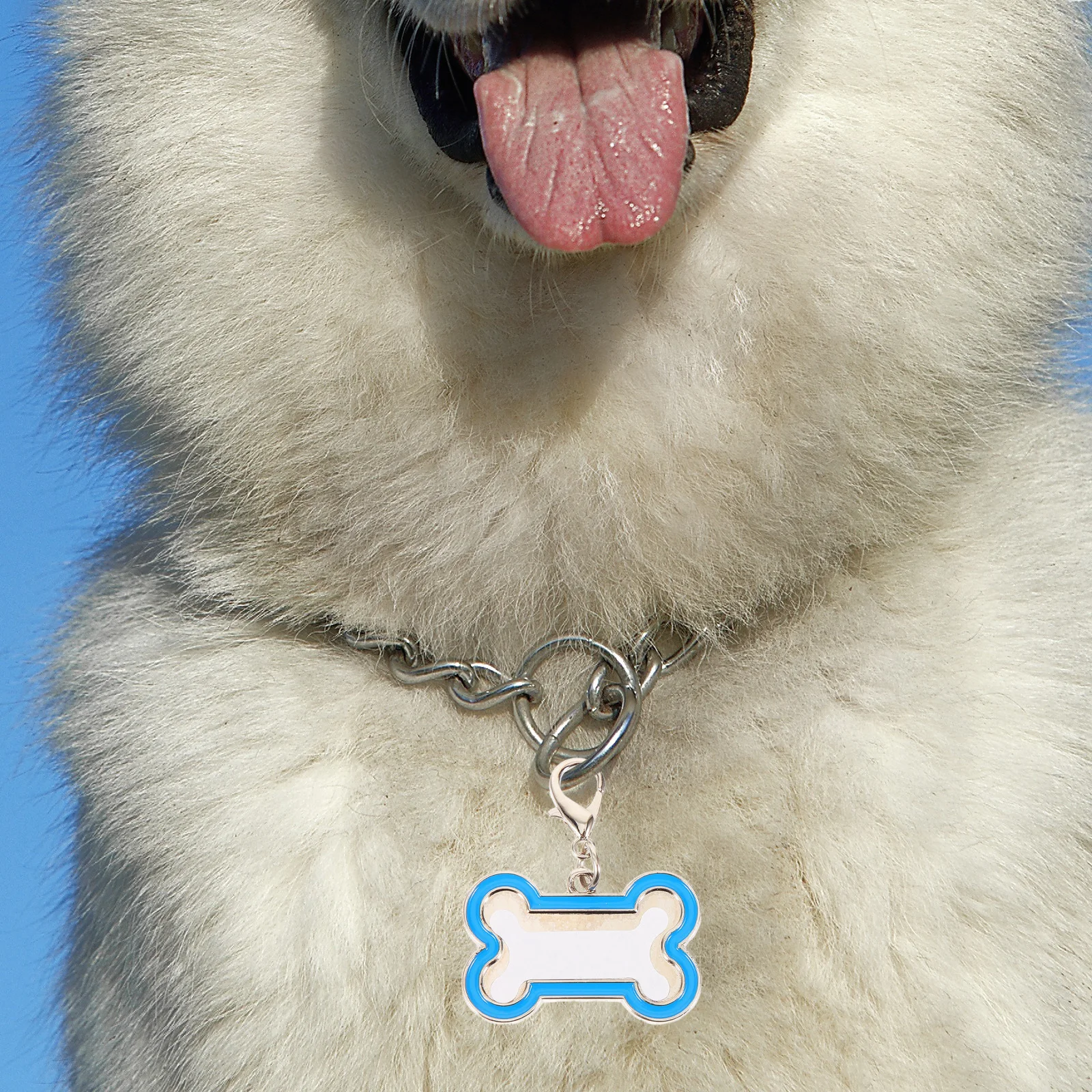 

2Pcs Durable Metal Pet Tags Sublimation Blanks DIY Photo Pattern Heat Transfer Pendant for Dog Cat Identification