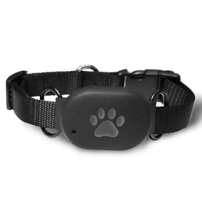 

Q60 Waterproof GPS Tracking Device Pet Tracker Gps Tracking For Pet