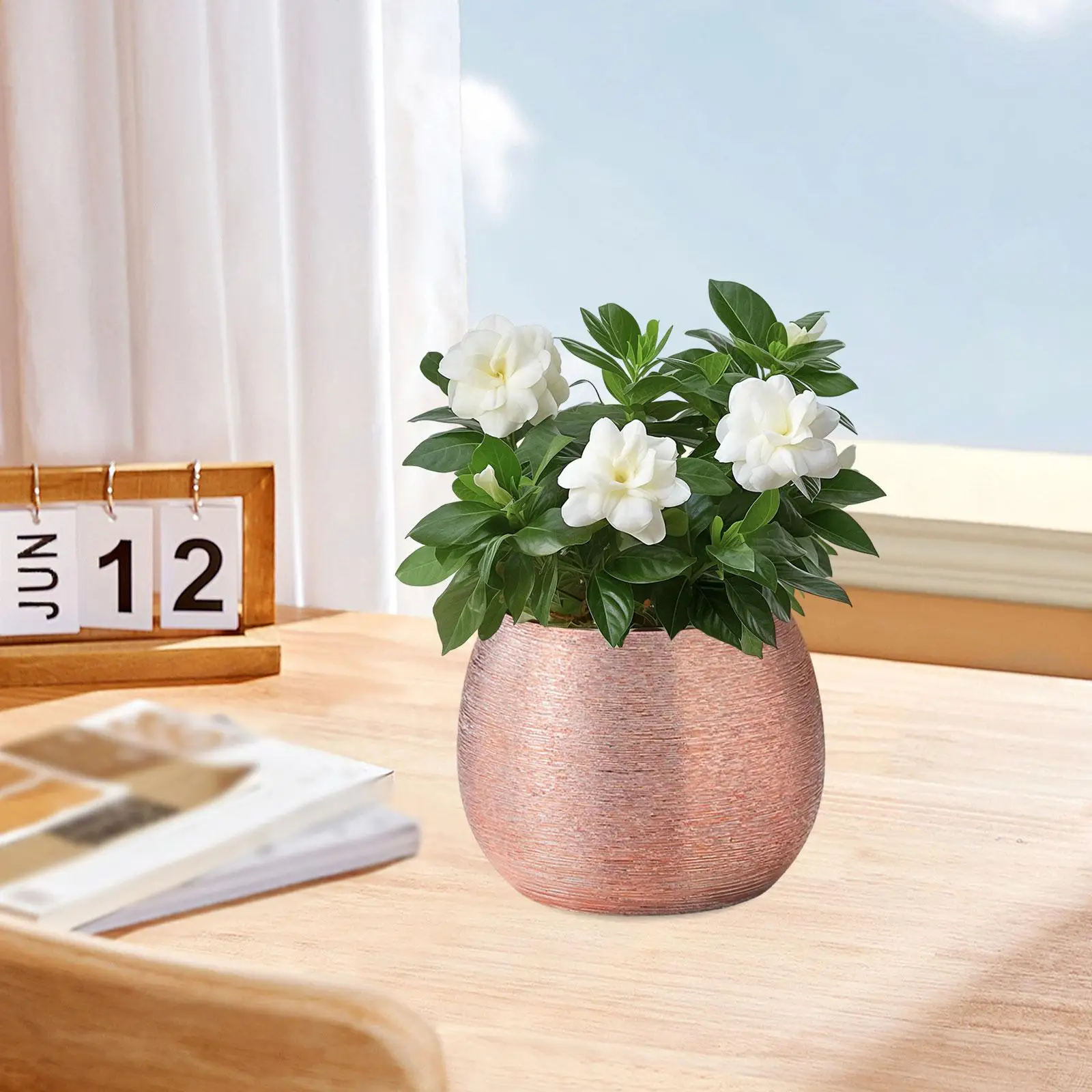 Ceramic Plant Pot Centerpieces Flower Pot for Living Room Office Kitchen