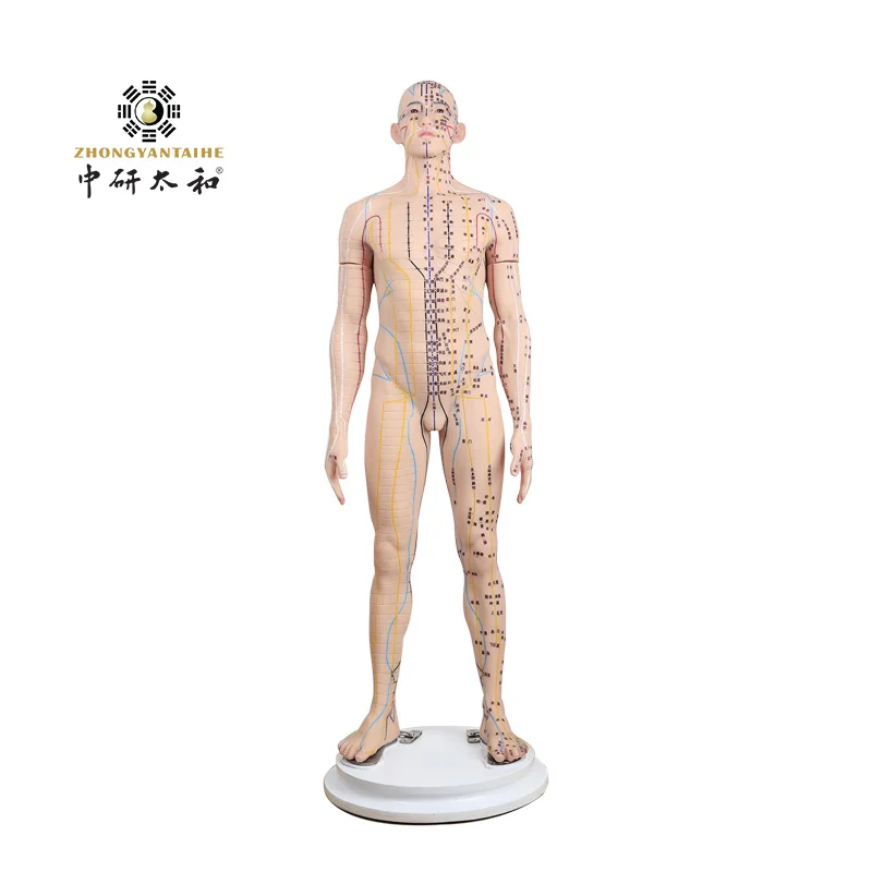 Simulated Human Acupuncture Model, Silicone Meridians Acupuncture 121Cm Acupuncture Model For Acupuncture Acupuncture-Tool Point