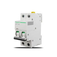 Miniature Circuit Breakers Acti 9 Series iC65N 2P C Type C1 C2 C4 C6 C10 C16 C20 C25 C32 C40 C50 C63A Household Air Switch