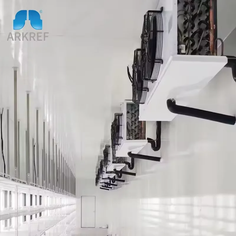 Camminata nella stanza fredda Refrigerazione modulare all'ingrosso Camminata nel contenitore del congelatore 10FT 20FT Sala di conservazione frigorifera per carne e verdura