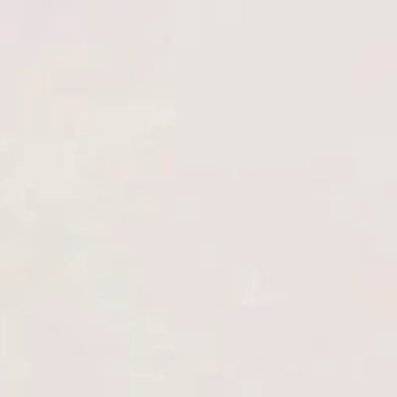 Juego de niebla de terciopelo, polvo de maquillaje fino y no pegajoso, niebla facial mate, maquillaje, polvo de miel transparente, sujeción de maquillaje