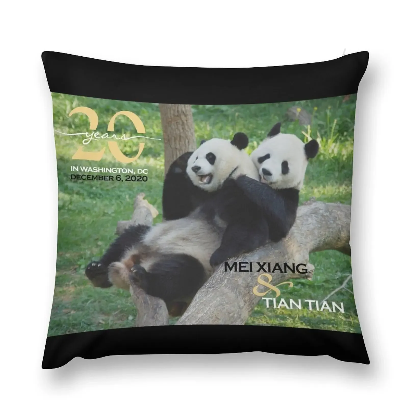 Giant Pandas Mei Xiang and Tian Tian at the National Zoo - 20th Anniversary Edition Throw Pillow pillow cover luxury pillow