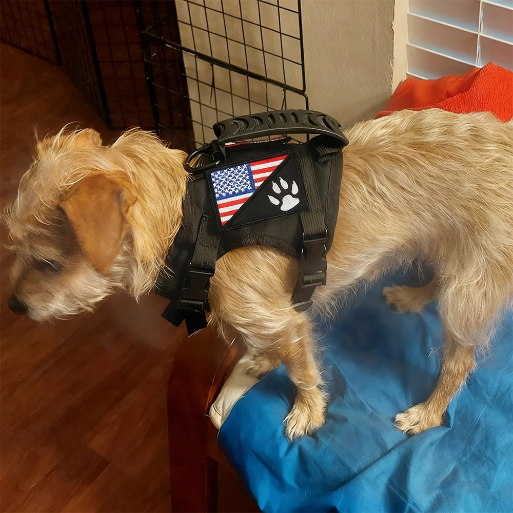 

Тактический комплект жилетов для кошек с регулируемыми ремнями в стиле милитари, устойчивый к побеге и дышащий для маленьких собак, щенков и кошек, прогулок