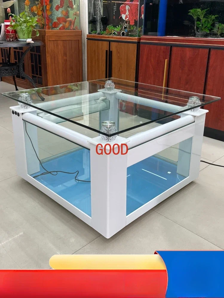 Tea Table Fish Tank Living Room Home with Landscape Ecology Turtle Jar Small Glass Cylinder