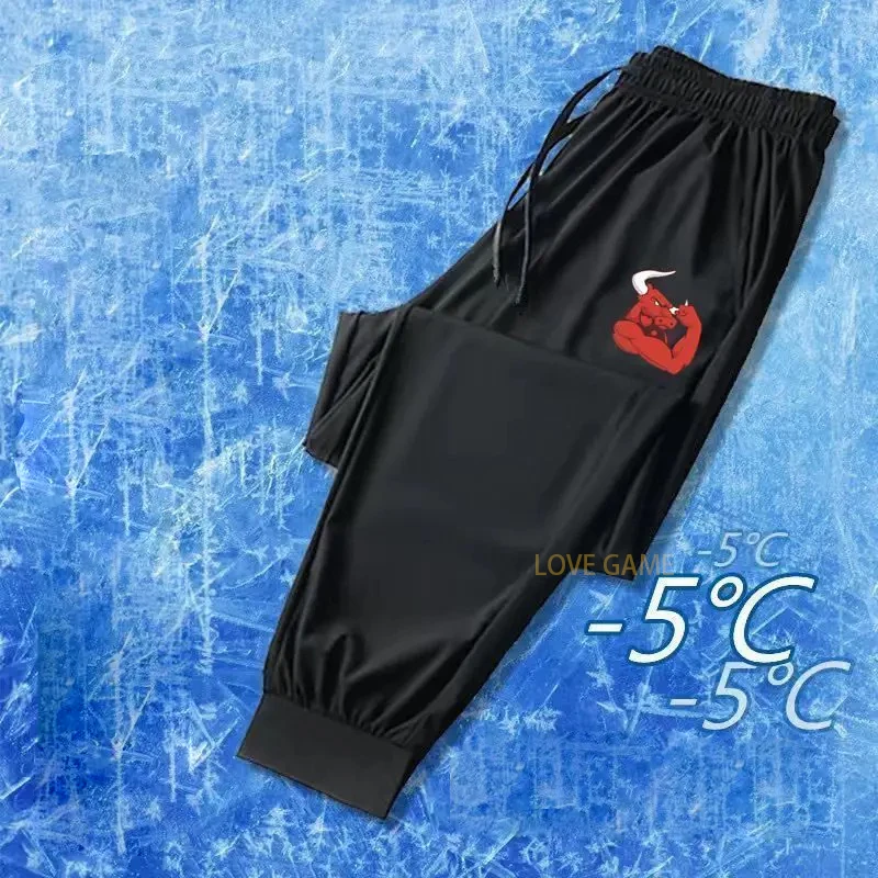 2024 Fishing Pants Men Breathable Quick Dry Anti-sweat Thin Outdoor Sweatpants Fishing Trousers stretch Casual Fishing Clothing