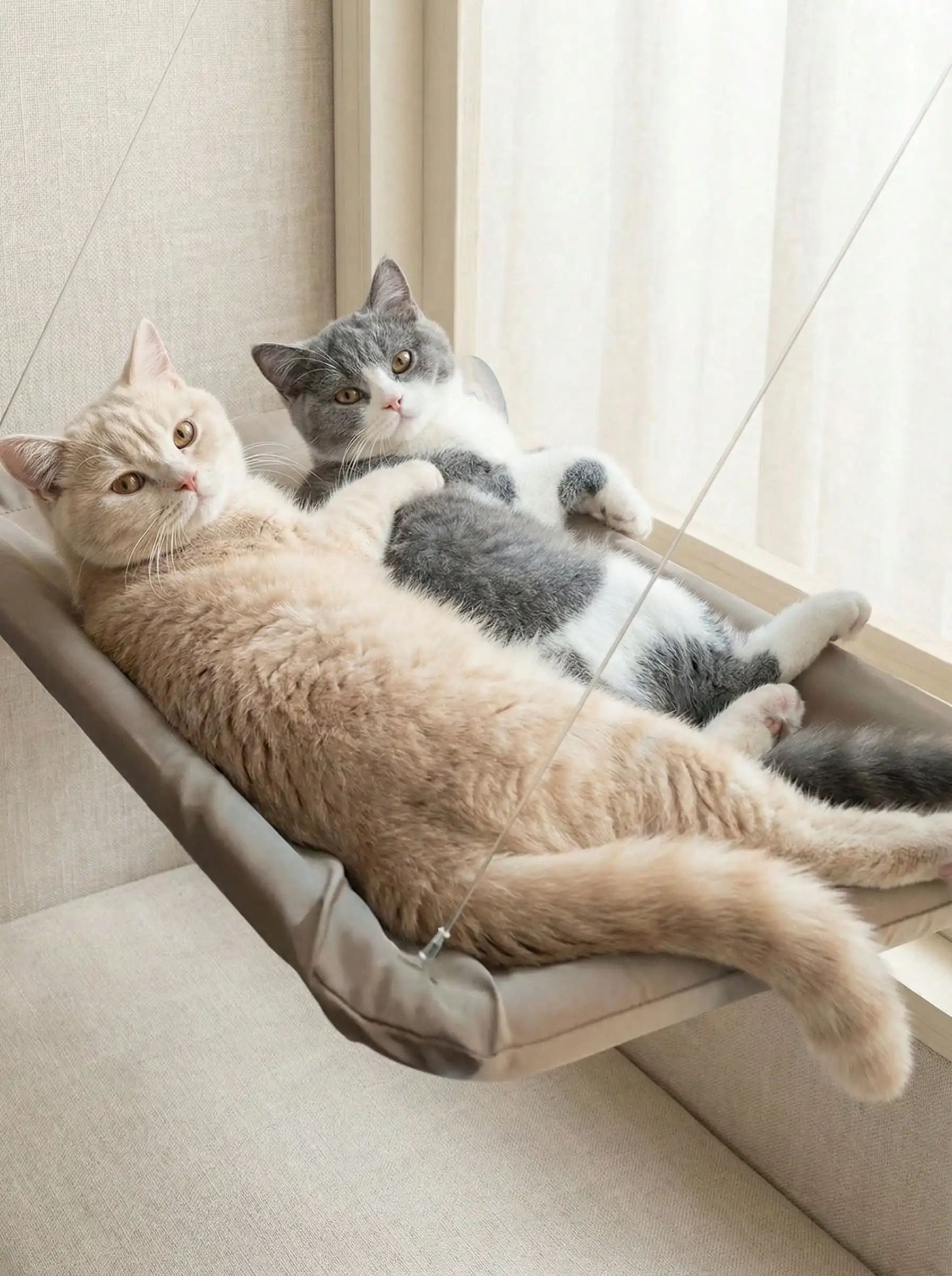 1pc Window Mounted Hanging Cat Hammock Bed, Sunny Window Perch with Blanket, Holds Pets Up to 5kg, Pet Accessories for Cats & Small Dogs