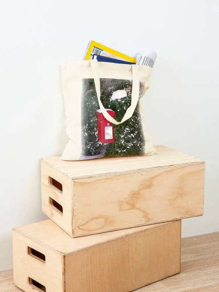 الشتاء صندوق البريد حمل حقيبة اليد حقائب امرأة 2025 حقيبة مخصصة القماش