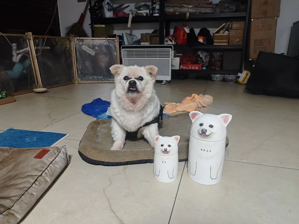 Custom Ceramic Pet Urn Moisture‑Proof Sealed Memorial Ornament For Cat Dog Ashes