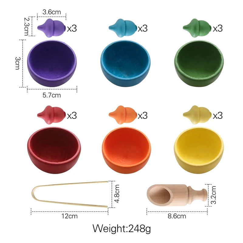 Set di smistamento di ghiande apprendimento smistamento dei colori abbinamento migliora la capacità di manipolazione cognitiva giocattolo ispirato a Montessori sei colori