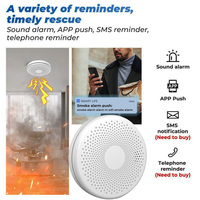 Tuya WIFI smoke alarm 2 in 1 Smoke Carbon Monoxide Combo Detector CO Smoke Alarm   Indicator,fire alarm smoke detector