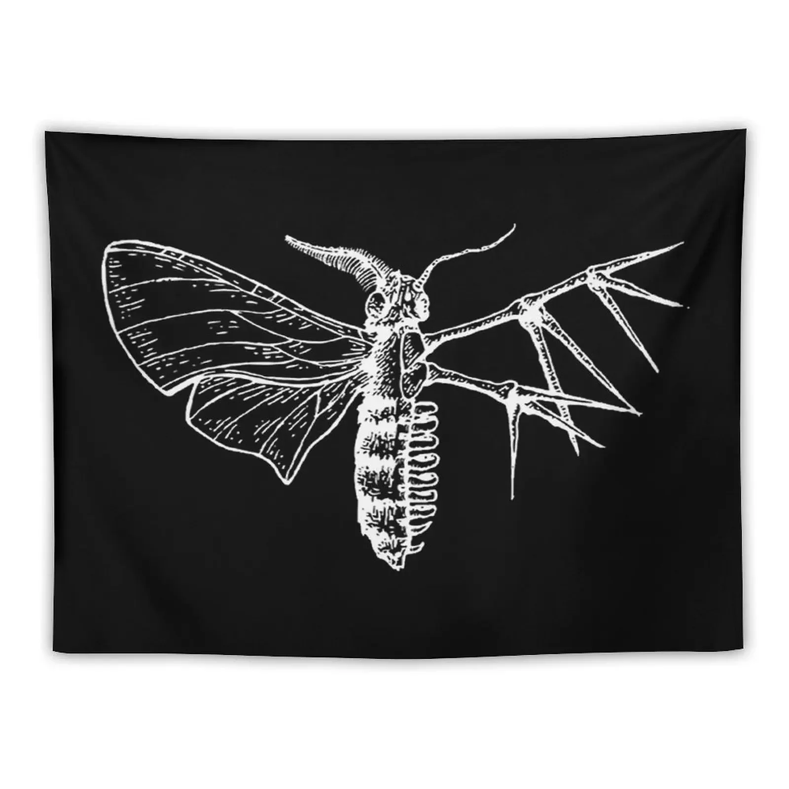 

moth body anatomy skeleton Tapestry Wall Mural Decoration Pictures Room Wall Decorations For Room Tapestry