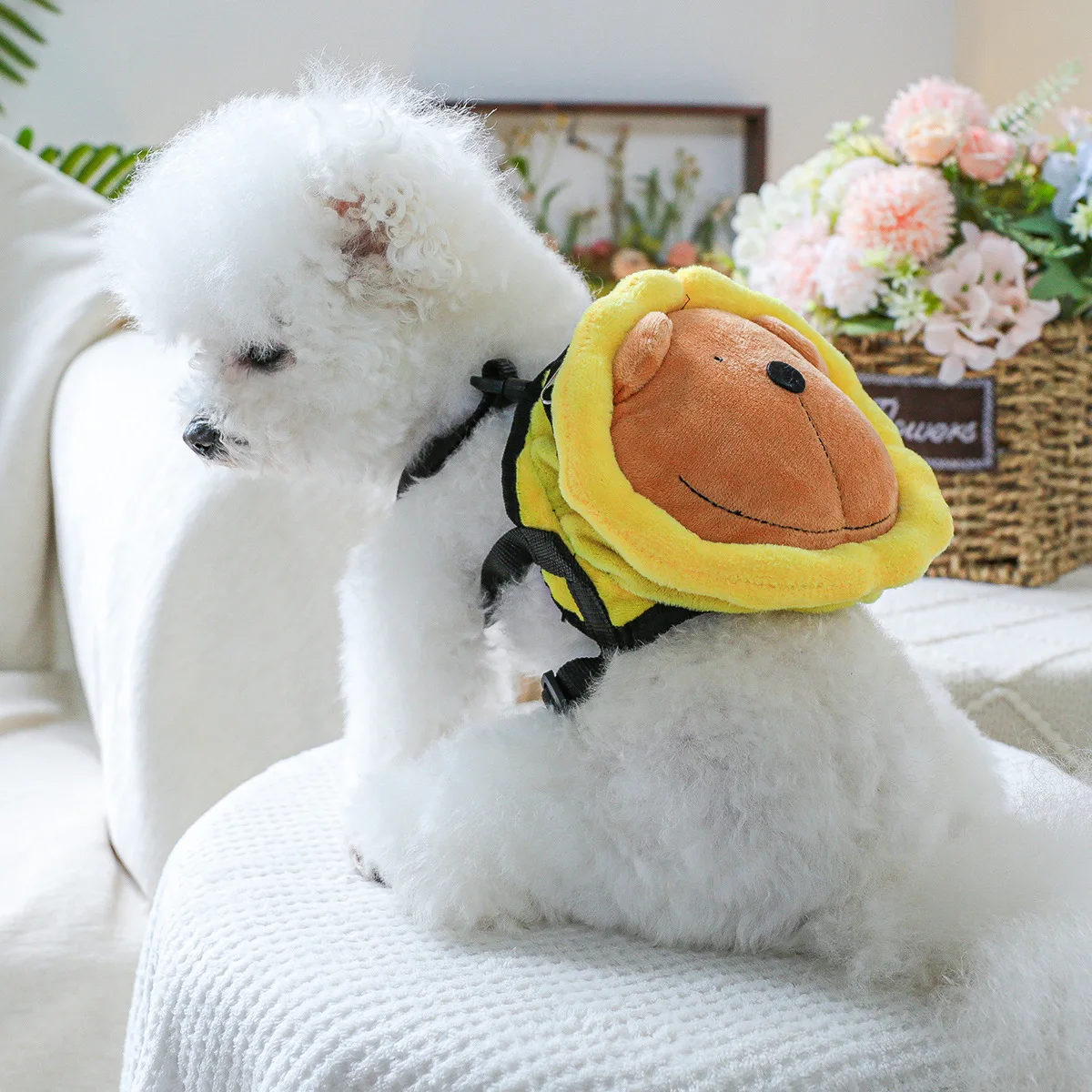 Pet Backpack Cute Backpack Can Be Pulled for Walking Dogs Garbage Bag Pet Accessories for Small Dogs Puppy Accessories