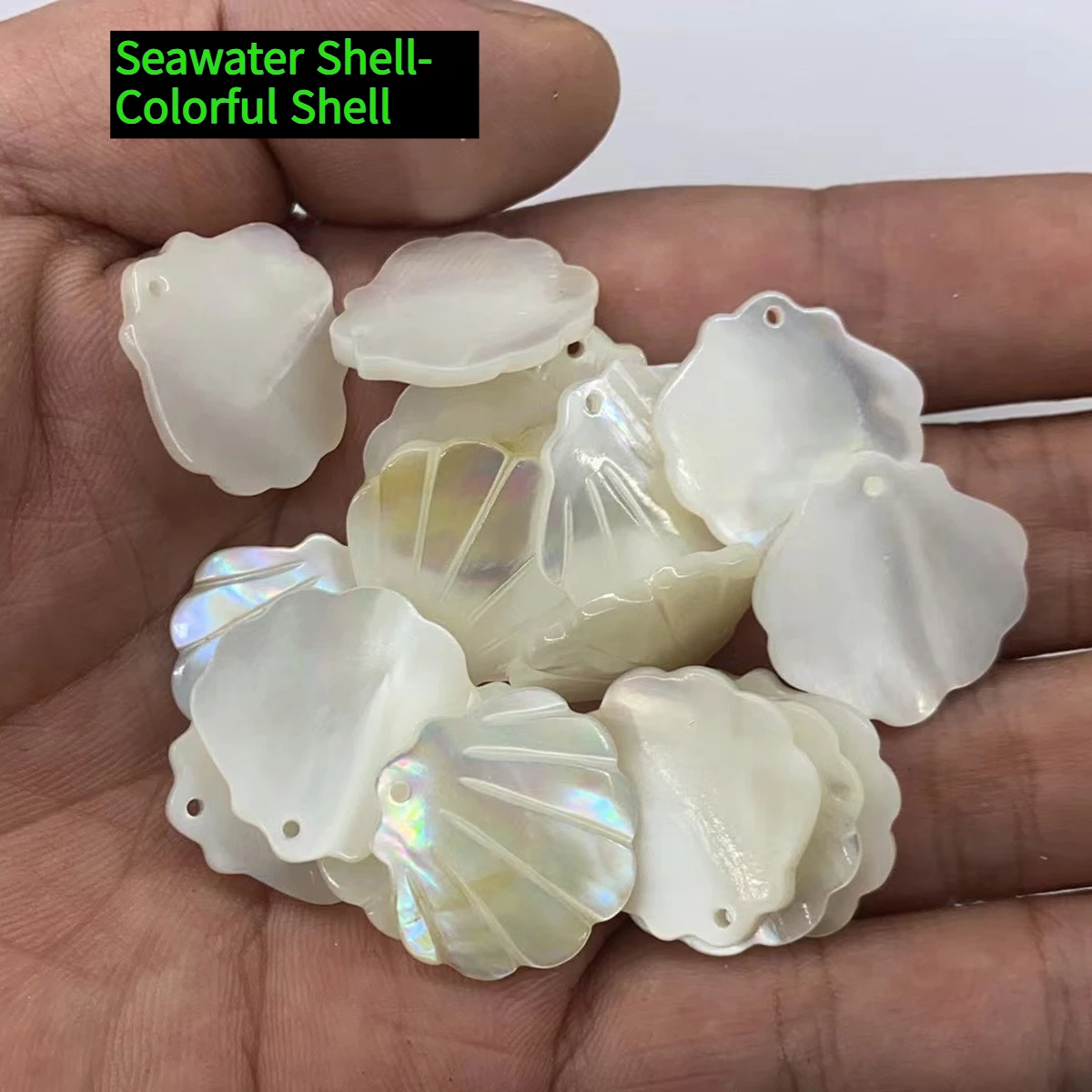 

DIY Loose Shell Beads Natural Seawater Shell Small Pendant For Jewelry Making DIY Chains Necklace Earrings Accessory