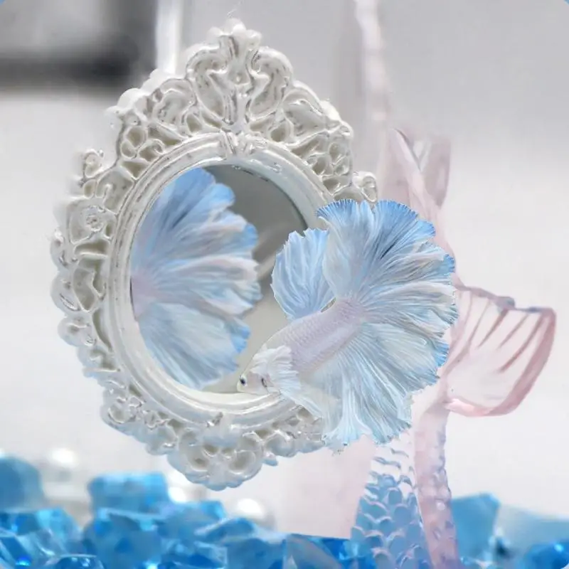 【xxx】 Betta-Trainingsspiegel, schwimmende Aquariendekoration, Vintage-Rahmen für Kampffisch-Übungstanks, Landschaftsverschönerung, Ornament