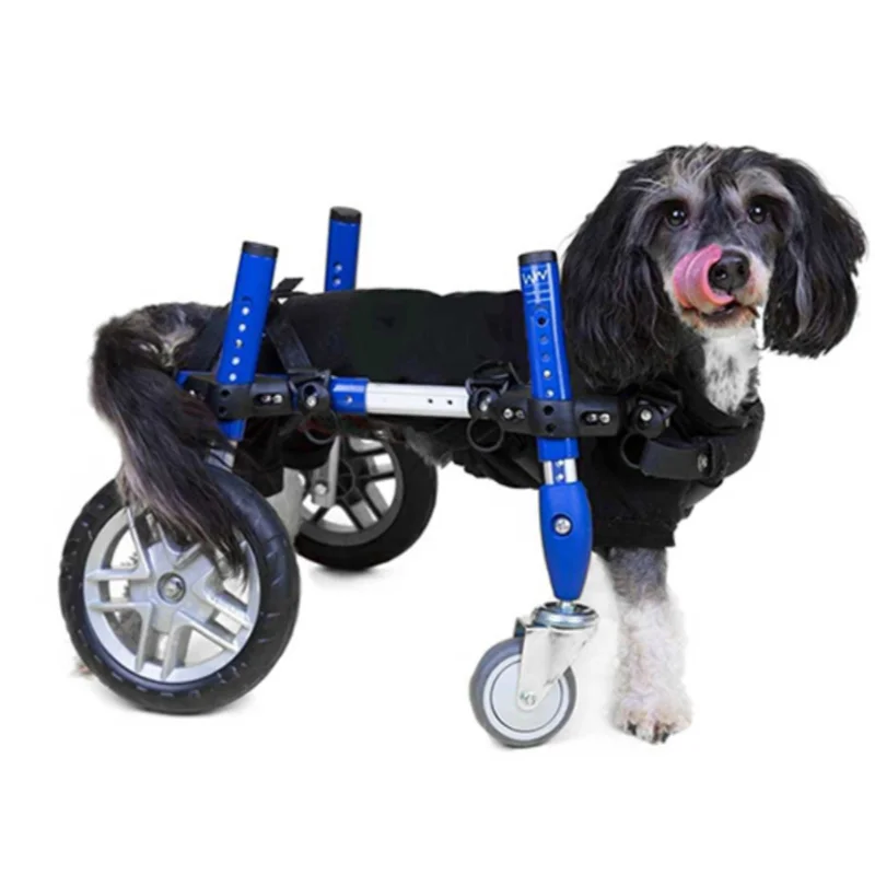 

Pet Wheelchair Dog Wheelchair Pet Paralyzed Disabled Broken Legs Quad Scooter Folding Rehabilitation Assist Small Dog