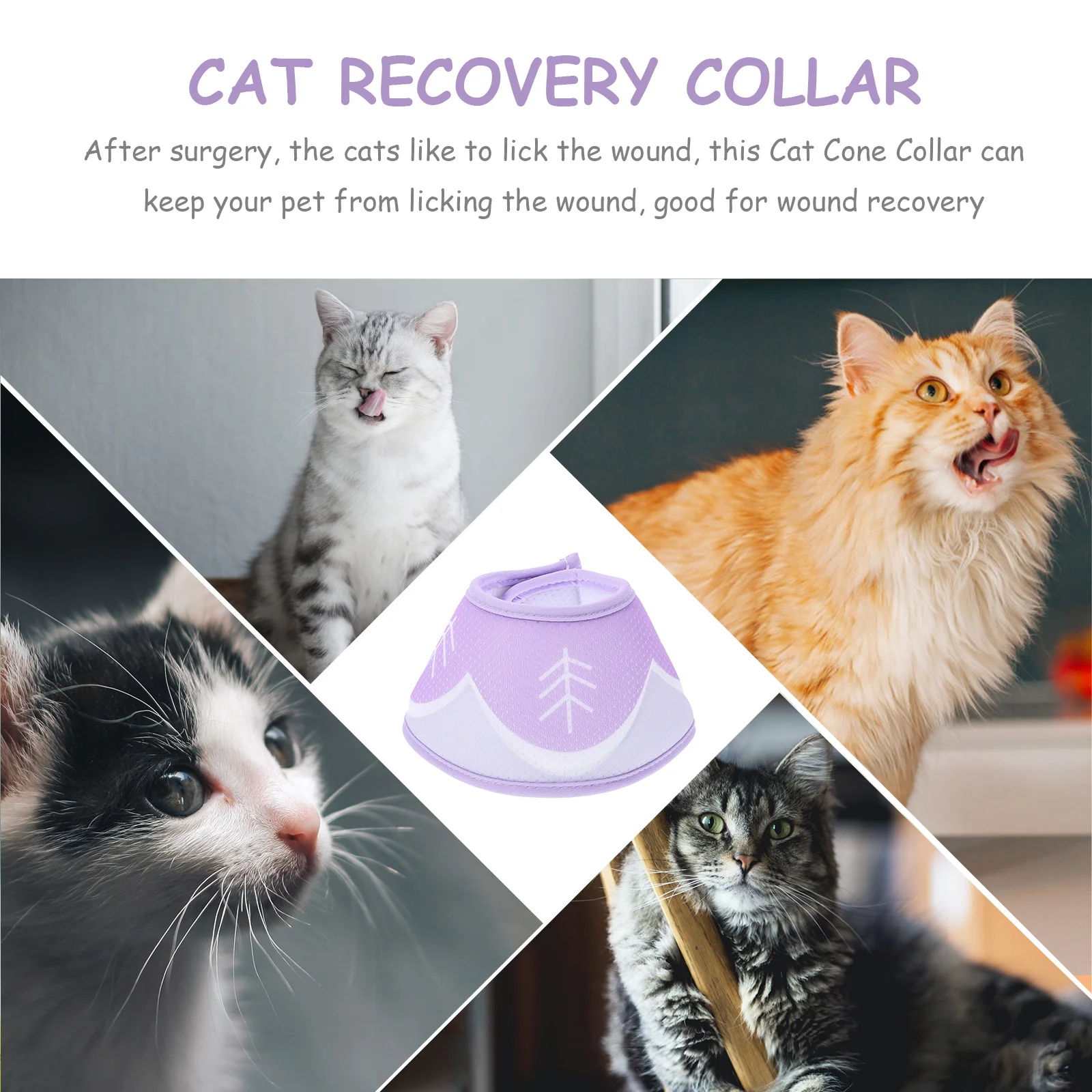 

collar for cat pet after surgery collar cone collar for collar cat recovery collar recovery collar supply