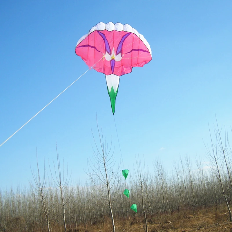 Cerf Volant Souple et Gonflable pour Enfant et Adulte, Jouet de Cerf-Volant, Ensemble Complet de Kite-Surf, Gloire du Matin, Livraison Gratuite