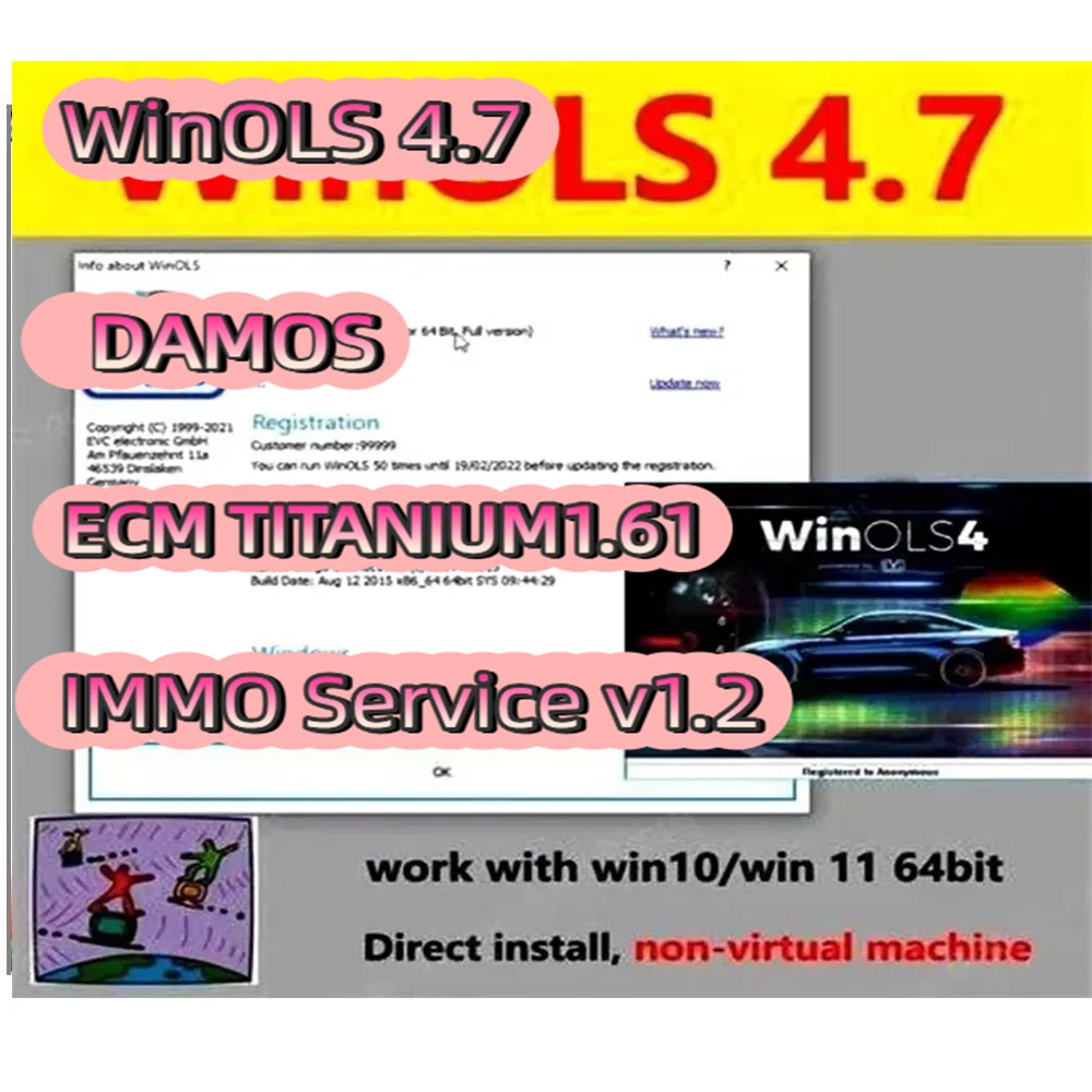 

4 en 1 Winols 4.7 completamente activado + 108GB Damos Windows 7 10 11 No virtual multilingüe + ECM TITANIUM 1.61 + herramienta
