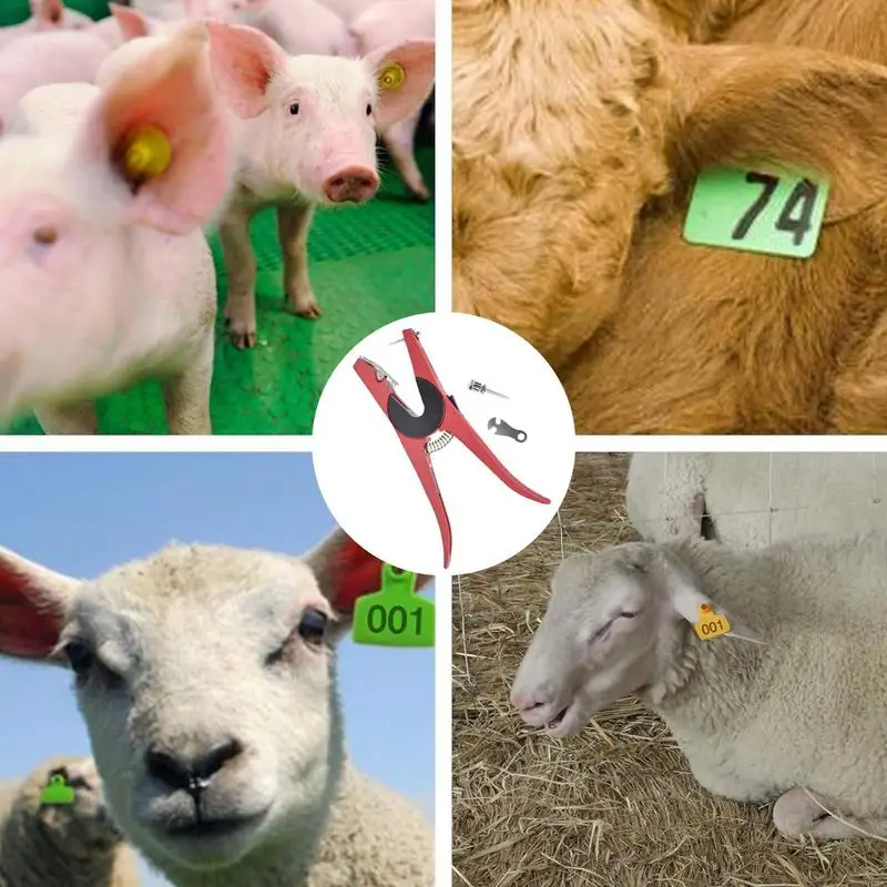 Ohr Zeichen Zange Für Rinder Kuh Zange Vieh Ohr Zeichen Applikator Tier Instrumente Identifikation Karte Installation Ohr Zeichen