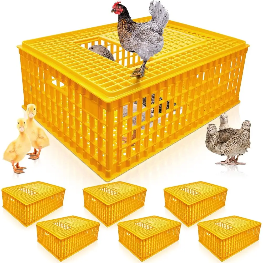 

Ящик-переноска для птицы, пластиковая клетка для транспортировки курицы, переноска для птиц, переноска для курицы, дорожный ящик, корзина, коробка для птицы, курицы