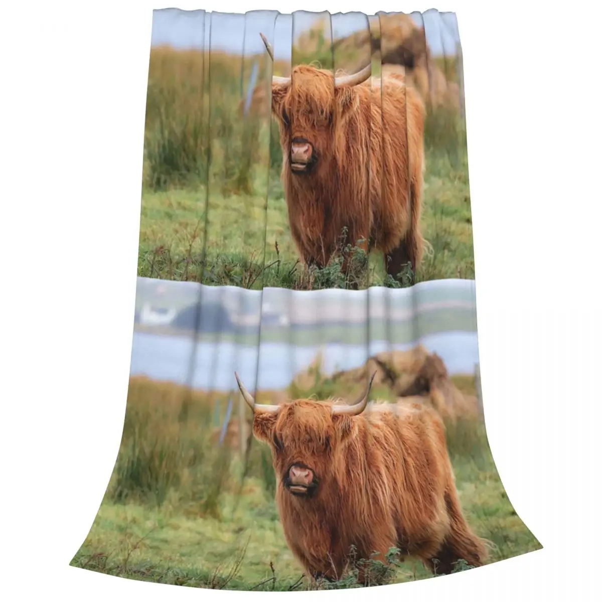 Long Haired Highland Cattle - Highland Cow Blankets Fleece Super Soft Sofa Throw Blankets For Home Office Throws Bedspread Quilt